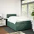 Vidaxl Box spring postelja z vzmetnico temno zelen 120x190 cm žamet
