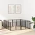 Vrata za pse 8 pcs Crna 80 x 60 cm Cinkani čelik
