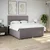 Vidaxl Box spring postelja z vzmetnico taupe 200x200 cm blago