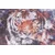Conceptum Hypnose Tepih Opus AL 307, 150x230 cm, Šareni