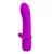 VIBRATOR Pretty Love Troy Purple