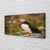 tulup.si Slika na platnu Parrot 120x60 cm