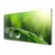 tulup.si Slika na steklu Grass nature dew drops 120x60 cm 2 obešalnika