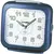 Casio stoni wake up timer tq-359-2ef