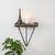 HANAH HOME Phalaenopsis
