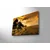 Zidna slika sa LED osvjetljenjem 4570DHDACT-006, 45x70 cm