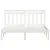 shumee vidaXL Posteljni okvir bel 150x200 cm masiven les