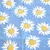 Kuhinjska krpa Daisies 45x70cm