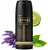 STR8 STR8 DEO dezodorant 150ml Ahead
