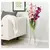 SMYCKA Veštački cvet, gladiola/bela, 100 cmPrikaži specifikacije mera