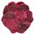 shumee Rezine zmajevega sadja Pitaya, zmajevo sadje - 500 g