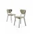 Hanah Home Set stolica Arfe, 101x76x26 cm, 4 komada, Svetlozelene