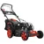 PROLINETECH Samohodna motorna kosilica Briggs&Straton Germany Style PLT/BC-161