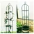 Severno Vrtna pergola Persian Yellow