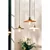 Globen Lighting obesna svetilka COBBLER, rjava, O 25 cm - Dnevna soba/jedilnica - Vintage - rjava, starinski medenina - Kovina
