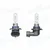 SIJALICA 12V HB3 60W P20D SRL
