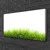 tulup.si Slika na platnu Grass nature rastlin 100x50 cm