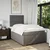 Vidaxl Box spring postelja z vzmetnico taupe 120x200 cm blago