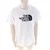 The North Face Evolution Half Dome Teen Otroci Kratka majica