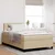 Vidaxl LED Box Spring Postelja Svetlo siva in bela. 120 x 190 cm