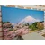 Slika gora Fuji - 80x40