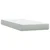 Box Spring krevet s madracem svijetlo sivi 80x220 cm samt