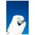Golf žogice Callaway Chrome Soft 26 White Triple Track