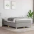 Den Box spring posteljni okvir svetlo siv 120x200 cm blago