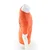 Fox Original Premium S/S Moški Kratka majica
