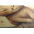 Slika zasanjana mucka - 40x60