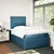 Vidaxl Box spring postelja z vzmetnico modra 120x200 cm žamet