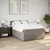Vidaxl Box spring postelja z vzmetnico taupe 140x200 cm blago