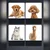 INF ., (5000214988)