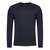 POLO RALPH LAUREN Pulover, modra
