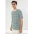 Trendyol Muška majica Tmnss25Ts00041, Šarena