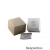 Versace VE8E00724 V-Dome