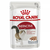 ROYAL CANIN Vlažna hrana za mačke Instinctive Loaf 85gr x 12kesica