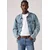 LEVIS  Pas Loire temno rjava