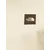 THE NORTH FACE Majica EVOLUTION BOX kamen
