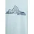 Helly Hansen kratka majica moška bombažna MASSIF GRAPHIC
