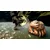 XBOXONE/XSXÂ Skull Island: Rise of Kong