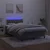 Vidaxl Box spring postelja z vzmetnico LED temno siva 120x190 cm žamet