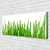 tulup.si Slika na platnu Grass nature rastlin 120x60 cm