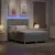 LED Box Spring Krevet Svijetlo siva 160 x 200 cm tkanina