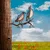 Aberto Design Dekorativna figura Bird on the branch 29, 39x45 cm, 1.5 mm, Bronzane boje