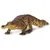 Safari Sarcosuchus dinozaver