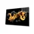 Slika Wallity 568, 46x72 cm