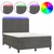 Vidaxl Box spring postelja z vzmetnico LED temno siva 140x200 cm žamet