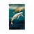 Plakat kiti v oceanu - 40x60 no frame