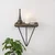 Hanah Home Phalaenopsis Zidna polica, Braon-crna